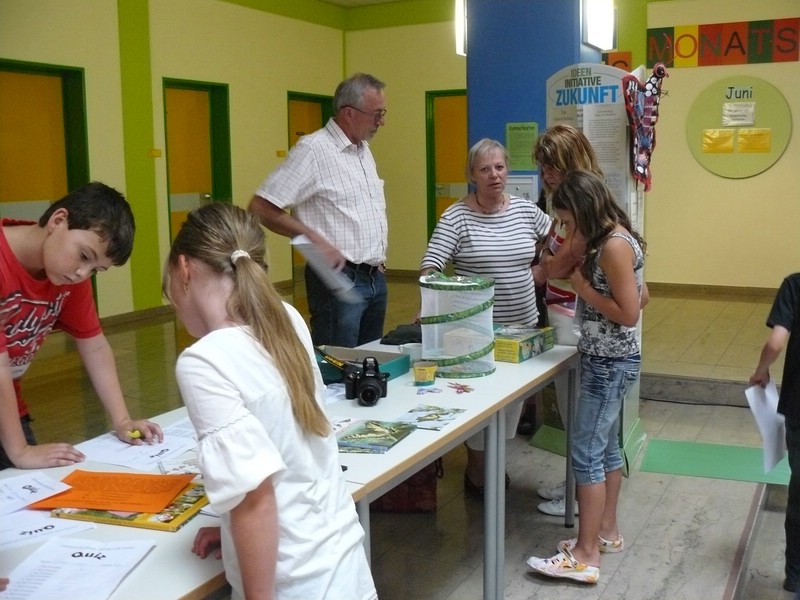 11_vse_1643